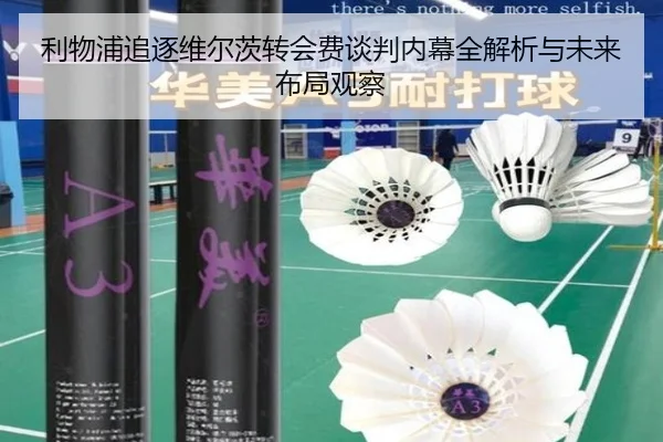 利物浦追逐维尔茨转会费谈判内幕全解析与未来布局观察